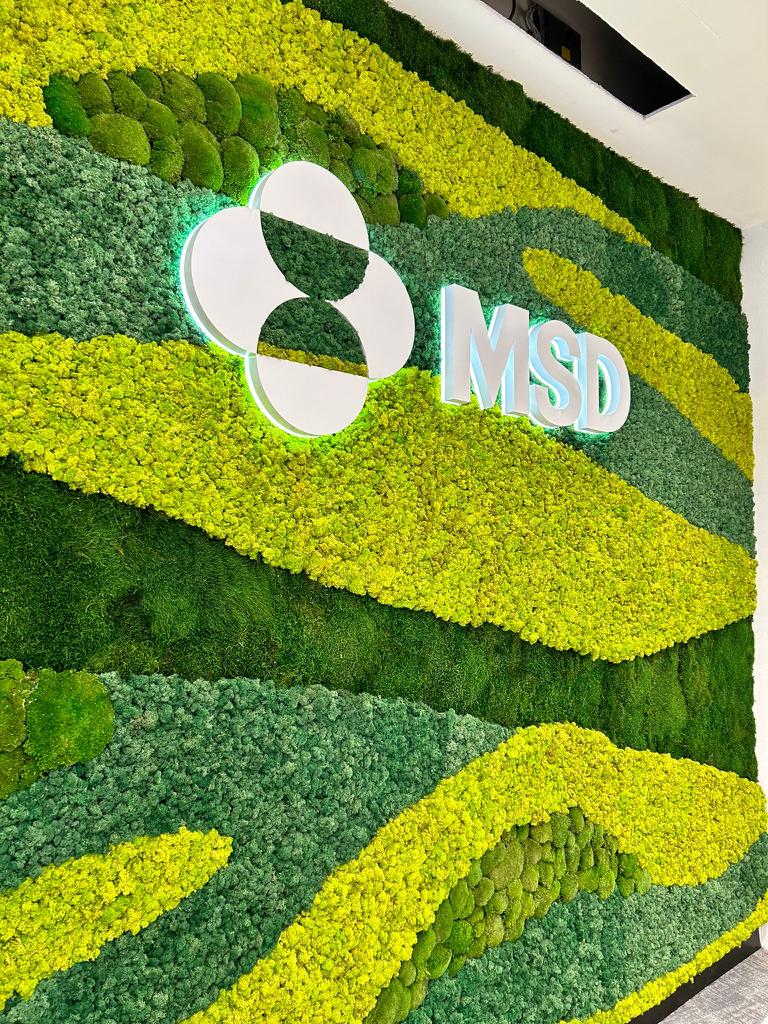 MSD