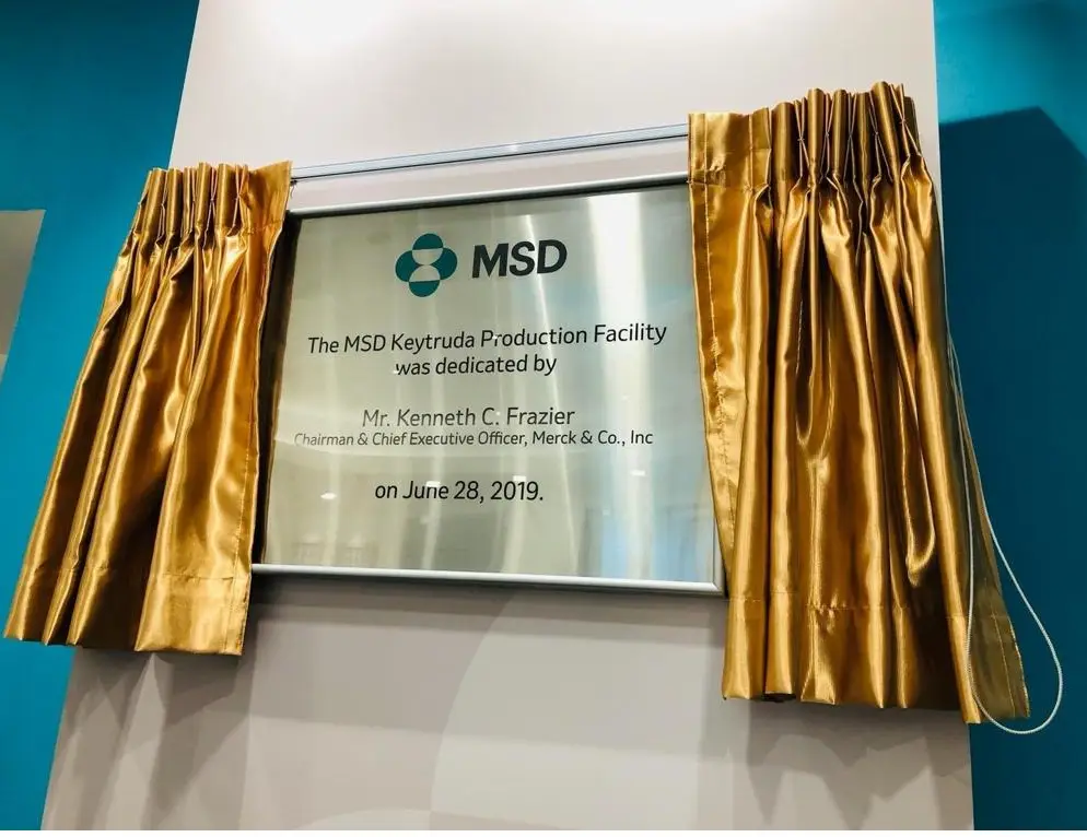 plaque